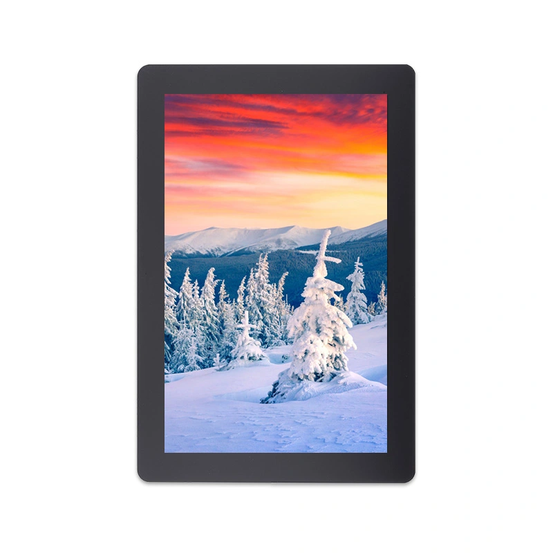 10,1 palce 800x1280 rozlišení ips mipi rozhraní lcd modul